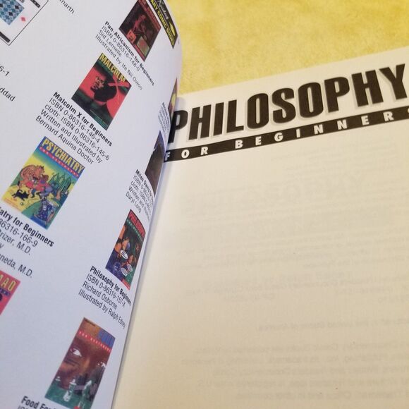 Philosophy for beginners paperback book - Picture 7 of 9
